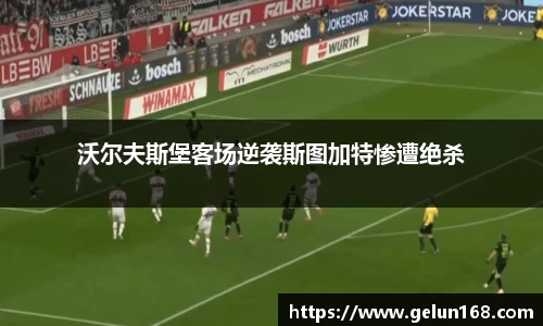 芒果体育